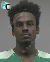 Gainesville man arrested for pointing gun at woman in Levy County