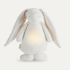 She has princeton orange markings around her eyes, on her head and at the ends of her ears. Buy The Moonie Noising Rabbit With A Light At Kidly Uk