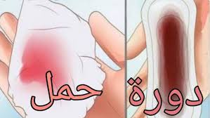 البويضة شكل دم الحمل بالصور
