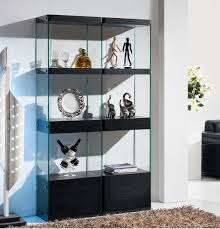 We did not find results for: Expressia Black Gloss Display Cabinet