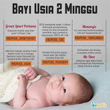 Pekembangan bayi 2 bulan semakin pesat dan tingkahnya semakin menggemaskan. Ini Ya Bun Info Perkembangan Arsha Daycare Depok Facebook