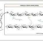 This schematic representation illustrates the differences ...