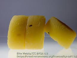 Harzer Kase Kalorienarmer Sauermilchkase Aus Dem Harz