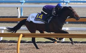 You were redirected here from the unofficial page: é«˜æ¾å®®è¨˜å¿µ1é€±å‰è¿½ã„ ã‚¹ãƒžãƒƒã‚·ãƒ¥ å˜èµ°ä¼¸ã³ä¼¸ã³11ç§'7 ä¸‰æµ¦ åˆ‡ã‚Šæ›¿ãˆã‚¹ãƒ ãƒ¼ã‚º ã‚¹ãƒãƒ‹ãƒ Sponichi Annex ã‚®ãƒ£ãƒ³ãƒ–ãƒ«