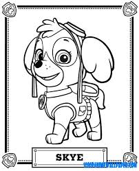 When we think of october holidays, most of us think of halloween. Paw Patrol Paw Patrol Colouring Pages Paw Patrol Coloring Paw Coloring Library