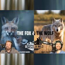 Podcast Episodes — Beyond the Wild