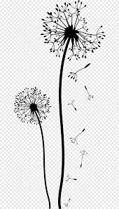Dandelion Drawing Black And White Flower Wall Free Png Dandelion Drawing Flower Drawing White Flower Png