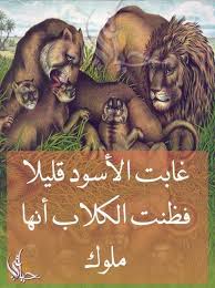 pin by aniaanya22 on روائع الحكم funny arabic quotes dark art drawings arabic quotes
