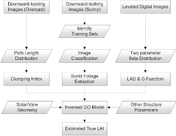 the flow chart of procedures to extract lai from downward