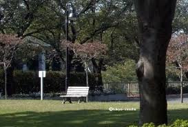 Maybe you would like to learn more about one of these? æˆåŸŽ æ¨ªå°¾å¿ å‰‡ã‚¢ãƒˆãƒªã‚¨ åƒå¤œä¸€å¤œæ—¥è¨˜ ã‚ˆã‚Š æ±äº¬é›'å†™