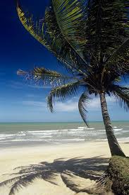 We have reviews of the best places to see in selangor. Cherating Beach Pahang Malaysia Can Go Visit Turtle Sanctuary Relaxing At The Beach Watch Firefly At Night At Yak Yah