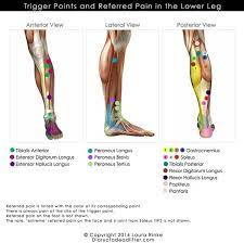 Si vous voulez connaître le mot buku lali en français, vous trouverez ici la traduction, de même que d'autres traductions du malaisien. Tapak Pak Long Tradisional Massage Foot Reflexology Facebook