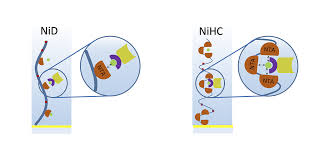 Nta precision axle corporation, located in carol stream, illinois, is a joint venture with ntn bearing, one of the world's largest industrial manufacturers. Xantec Bioanalytics Gmbh News White Papers Newsletters Nihc High Affinity Poly Ni Nta Sensor Chips For Fragment Based Drug Discovery Update