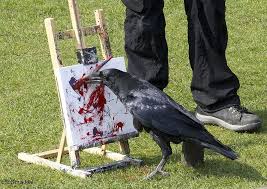 Clever Corvid Raven Crow Cute Animals