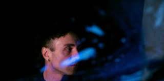 Ascolta in anteprima l'album di Sacrobosco, Apes + Tigers