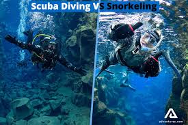 Snorkeling Vs Diving Adventures Com
