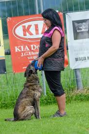 By rylskisobor 23.06.2019 23.06.2019 новости. 2 Vhv Cupprufung 23 06 2019 167 Hundesportverein Dornbirn