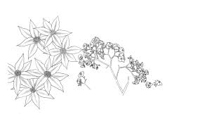 Manga Flowers Flowers Art Manga
