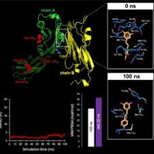 Go to www.bing.com or www.google.com. Pdf Resveratrol Targets Pd L1 Glycosylation And Dimerization To Enhance Antitumor T Cell Immunity