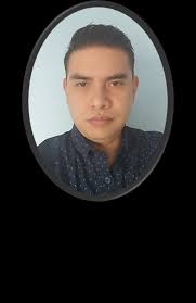 Presidente del Consejo Divisional de Ciencias Básicas e Ingeniería P R E S  E N T E