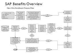 sap hr presentation 08052002