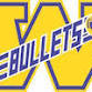 Rochester Girls Varsity Volleyball @ Williamsville