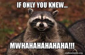 If Only You Knew Mwhahahahahaha Evil Plotting Raccoon Make A Meme