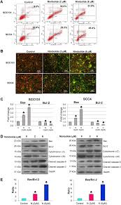 Nimbolide A Neem Limonoid Inhibits Cytoprotective Autophagy To Activate Apoptosis Via Modulation Of The Pi3k Akt Gsk 3b Signalling Pathway In Oral Cancer Cell Death Disease Dhanda (ढांडा) malhan, mahla, mohil, mahil, mawlia gotra jats are found in punjab, haryana, maharashtra and rajasthan. nimbolide a neem limonoid inhibits