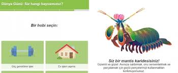 Google Dan Dunya Gunu Ne Ozel Doodle Siz Hangi Hayvansiniz