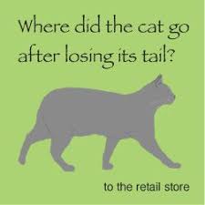 Cat Joke Funny Jokes And Riddles Dad Jokes Funny Stupid Jokes