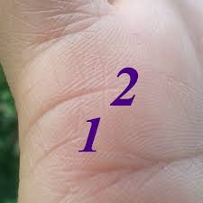 как по руке узнать сколько будет детей у женщины Linii Braka Na Ruke Znachenie Vidy Foto S Rasshifrovkoj Na Kakoj Ruke Nahoditsya Liniya Braka V Hiromantii U Muzhchin I Zhenshin Gadanie Po Linii Braka Na Ruke Mozhno Li Verit Liniyam Braka