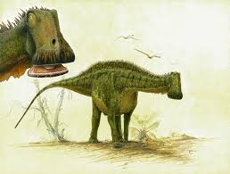 — enter your full delivery address (including a zip code and an apartment number), personal details, phone number, and an email address.check the details. Discoveries Paul Sereno Paleontologist The University Of Chicago