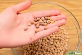 Eat more of them by learning how to cook them in different ways. How To Cook Dried Chickpeas With Pictures Wikihow
