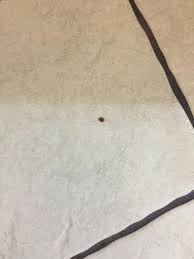 Whether a heavy object got dropped on the many people do not realize how easy it is to repair a chip in tile. How Can We Cover Up Chipped Spots On Our Kitchen Tiles Hometalk