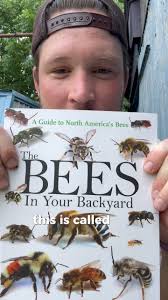 look!!! do you see that white stuff coming out of her “butt”?? that's  beeswax! honey bees secrete wax out of their wax glands