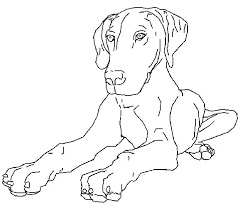 The spruce / wenjia tang take a break and have some fun with this collection of free, printable co. Dogs Coloring Pages Printable Coloring Library
