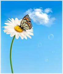 In such page, we additionally have number of images out there. 49 Buku Program Ideas Borders For Paper Borders And Frames Page Borders Design