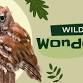 Wild Wonders
