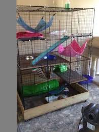 50 Beste Rattenkafig Ideen Cage Furet Furet Cage