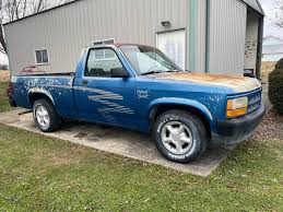 Image result for Blue 1995 Fleet