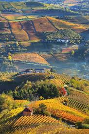 Rural Houses On Autumnal Hills Among Vineyards Of Langhe In Piedmont Northern Italy Italy Landscape Piedmont Italy Italy Travel
