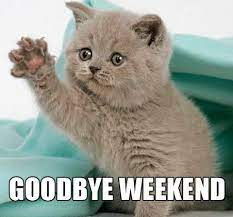 Memes reaction bye 23 ideas #memes | anime meme face. Adios Fin De Semana Cute Cat Memes Cat Memes Clean Funny Cat Memes