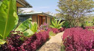 Stream tracks and playlists from jambo! Jambo Mara Safari Lodge Narok Best Price Guarantee Mobile Bookings Live Chat