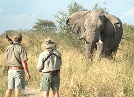 6 Hazardous Hunts That Could Kill You ...