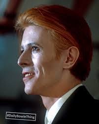 David Letter's Instagram, Twitter & Facebook