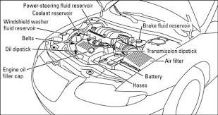 If a bird is flying very close to the. How To Check A Vehicle S Coolant Antifreeze Engine Diagram Car Talks Repair And Maintenance