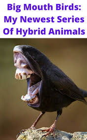 Bird With Big Mouth Name Big Mouth Birds My Newest Series Of Hybrid Animals In 2020 Big Mouth Mouth Birds