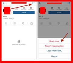 If your account is set to private, you can remove people from your followers list. How Do Follow Someone On Instagram How To See Exact Number Of Followers On Instagram