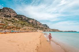 Image result for Thamnosma rhodesica