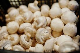 Anvisa suspende venda de champignon, molho de alho, polpa de fruta e azeite;  veja as marcas | Exame